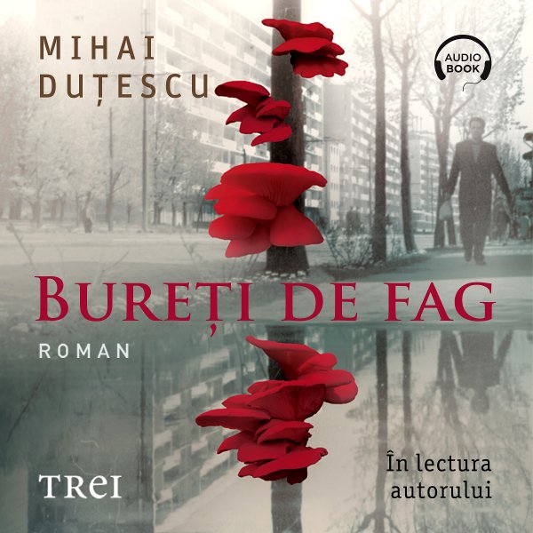 Bureți de fag