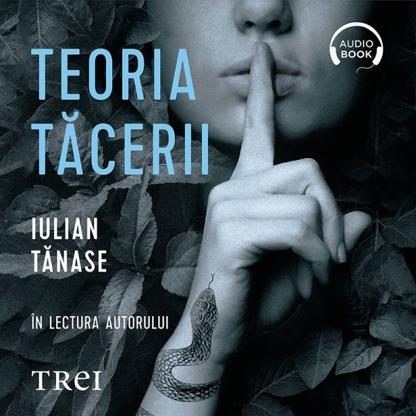 Teoria tăcerii